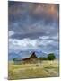 Old Barn and Teton Mountain Range, Jackson Hole, Wyoming, USA-Michele Falzone-Mounted Photographic Print