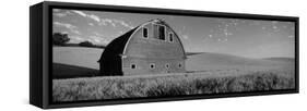 Old Barn in a Wheat Field, Palouse, Whitman County, Washington State, USA-null-Framed Stretched Canvas