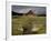 Old Barn in Antelope Flats, Grand Teton National Park, Wyoming, USA-Rolf Nussbaumer-Framed Photographic Print