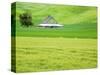 Old Barn in Green Agricultural Fields-Terry Eggers-Stretched Canvas