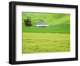 Old Barn in Green Agricultural Fields-Terry Eggers-Framed Photographic Print