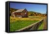 Old Barn in Kent, Connecticut, Usa-Sabine Jacobs-Framed Stretched Canvas