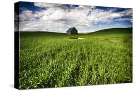 Old Barn in Spring Wheat Field with Beautiful Clouds-Terry Eggers-Stretched Canvas