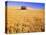 Old Barn in Wheat Field, Eastern Washington-Darrell Gulin-Stretched Canvas