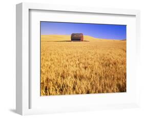 Old Barn in Wheat Field, Eastern Washington-Darrell Gulin-Framed Photographic Print
