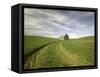 Old Barn in Wheat Field-Terry Eggers-Framed Stretched Canvas