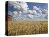 Old Barn in Wheat Field-Benjamin Rondel-Stretched Canvas