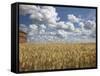 Old Barn in Wheat Field-Benjamin Rondel-Framed Stretched Canvas