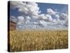 Old Barn in Wheat Field-Benjamin Rondel-Stretched Canvas