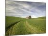 Old Barn in Wheat Field-Terry Eggers-Mounted Photographic Print