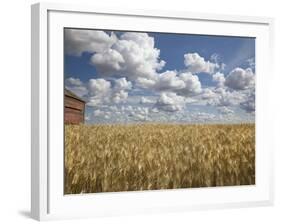 Old Barn in Wheat Field-Benjamin Rondel-Framed Photographic Print