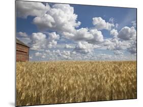 Old Barn in Wheat Field-Benjamin Rondel-Mounted Photographic Print