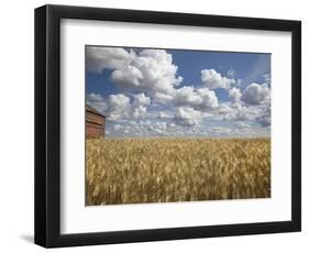 Old Barn in Wheat Field-Benjamin Rondel-Framed Photographic Print