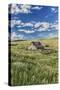 Old Barn, Montana, Usa-Peter Adams-Stretched Canvas