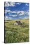 Old Barn, Montana, Usa-Peter Adams-Stretched Canvas