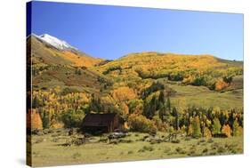 Old Barn near Telluride, Colorado-Donyanedomam-Stretched Canvas