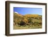 Old Barn near Telluride, Colorado-Donyanedomam-Framed Photographic Print