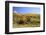 Old Barn near Telluride, Colorado-Donyanedomam-Framed Photographic Print