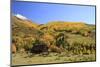 Old Barn near Telluride, Colorado-Donyanedomam-Mounted Photographic Print