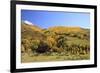 Old Barn near Telluride, Colorado-Donyanedomam-Framed Photographic Print