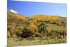 Old Barn near Telluride, Colorado-Donyanedomam-Mounted Photographic Print