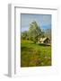 Old barn next to a colorful bouquet of spring flowers and California Poppies near Lake Hughes, CA-null-Framed Photographic Print