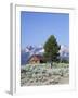 Old Barn, Sawtooth National Recreation Area, Idaho, USA-Jamie & Judy Wild-Framed Photographic Print