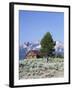 Old Barn, Sawtooth National Recreation Area, Idaho, USA-Jamie & Judy Wild-Framed Photographic Print