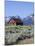 Old Barn, Sawtooth National Recreation Area, Idaho, USA-Jamie & Judy Wild-Mounted Photographic Print