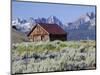 Old Barn, Sawtooth National Recreation Area, Idaho, USA-Jamie & Judy Wild-Mounted Photographic Print