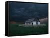 Old Barn Stands in a Wheat Field as a Thunderstorm Passes in the Distance Near Ogallah, Kansas-null-Framed Stretched Canvas