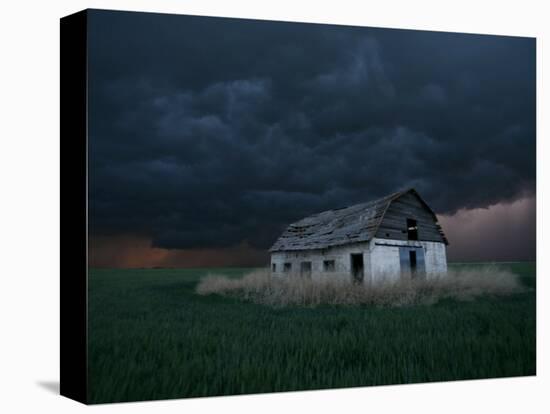 Old Barn Stands in a Wheat Field as a Thunderstorm Passes in the Distance Near Ogallah, Kansas-null-Stretched Canvas