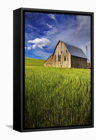 Old Barn Surrounded by Spring Wheat Field, Pr-Terry Eggers-Framed Stretched Canvas