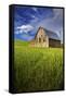 Old Barn Surrounded by Spring Wheat Field, Pr-Terry Eggers-Framed Stretched Canvas