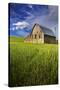 Old Barn Surrounded by Spring Wheat Field, Pr-Terry Eggers-Stretched Canvas