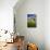 Old Barn Surrounded by Spring Wheat Field, Pr-Terry Eggers-Photographic Print displayed on a wall