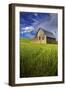 Old Barn Surrounded by Spring Wheat Field, Pr-Terry Eggers-Framed Photographic Print