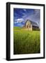 Old Barn Surrounded by Spring Wheat Field, Pr-Terry Eggers-Framed Photographic Print