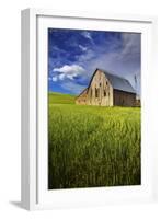 Old Barn Surrounded by Spring Wheat Field, Pr-Terry Eggers-Framed Photographic Print