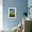 Old Barn Surrounded by Spring Wheat Field, Pr-Terry Eggers-Framed Photographic Print displayed on a wall