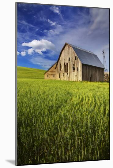 Old Barn Surrounded by Spring Wheat Field, Pr-Terry Eggers-Mounted Photographic Print