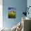 Old Barn Surrounded by Spring Wheat Field, Pr-Terry Eggers-Photographic Print displayed on a wall