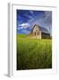 Old Barn Surrounded by Spring Wheat Field, Pr-Terry Eggers-Framed Photographic Print