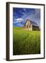 Old Barn Surrounded by Spring Wheat Field, Pr-Terry Eggers-Framed Photographic Print