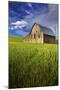 Old Barn Surrounded by Spring Wheat Field, Pr-Terry Eggers-Mounted Photographic Print