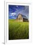 Old Barn Surrounded by Spring Wheat Field, Pr-Terry Eggers-Framed Photographic Print