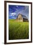 Old Barn Surrounded by Spring Wheat Field, Pr-Terry Eggers-Framed Photographic Print