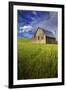 Old Barn Surrounded by Spring Wheat Field, Pr-Terry Eggers-Framed Photographic Print