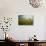 Old Barn Surrounded by Spring Wheat Field, Pr-Terry Eggers-Photographic Print displayed on a wall