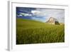 Old Barn Surrounded by Spring Wheat Field, Pr-Terry Eggers-Framed Photographic Print